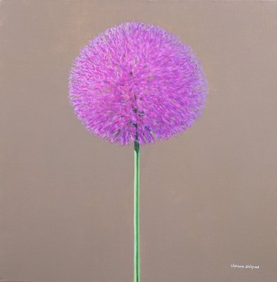 Alium by Lincoln Seligman